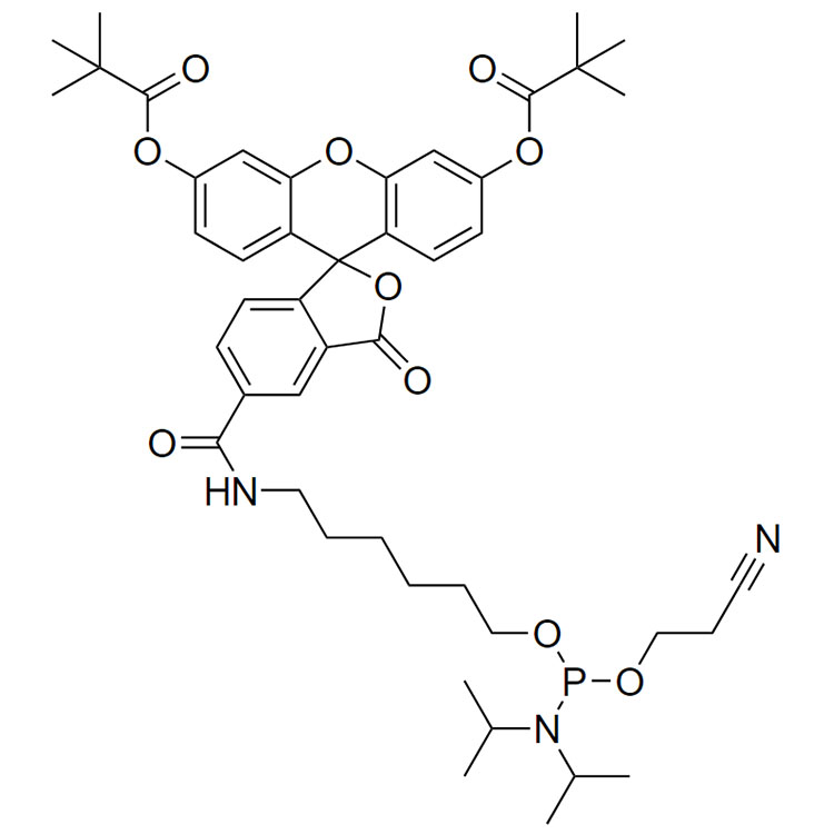 FAM Phosphoramidite,5-isomer，6-FAM-Phosphoramidite